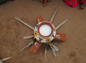 Pongal Celebration 